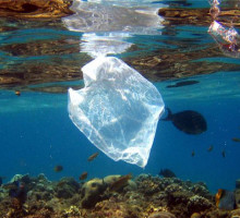 Пластиковый мусор превысит количество рыбы в море к 2050 году