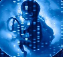 В Британии разрешили генную модификацию человеческих эмбрионов