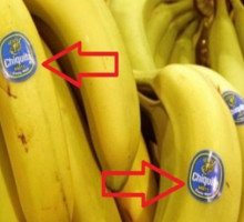 Будьте осторожны, когда покупаете бананы!