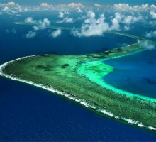 Большой Барьерный риф начал разрушаться, учёные бьют в набат