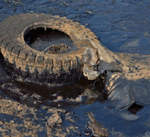 Российские учёные нашли экологичный способ очистки водоёмов от нефти
