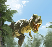 Млекопитающие начали доминировать на Земле задолго до вымирания динозавров