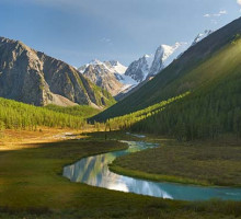 Учёные объяснили «климатический скептицизм» лесов Сибири