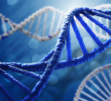 Учёные нашли критически важное отличие ДНК от РНК