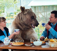 Медведь Степан и его необычная жизнь в русской семье