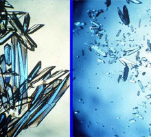 Медицинские кристаллы белков будут выращивать в космосе