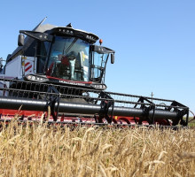 Есть рекорд! Пшеницы в России уже собрано рекордное количество— 68.1 млн тонн