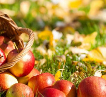 Неожиданно: Белоруссия продала в Россию в пять раз больше яблок, чем собрала