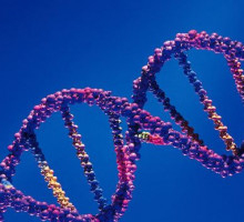 Влияние сознания на ДНК