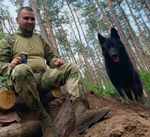 Поразительные истории животных Поразительные истории животных