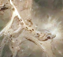 Американская разведка с удивлением рассматривает снимки Ирана, сделанные из космоса Американская разведка с удивлением рассматривает снимки Ирана, сделанные из космоса