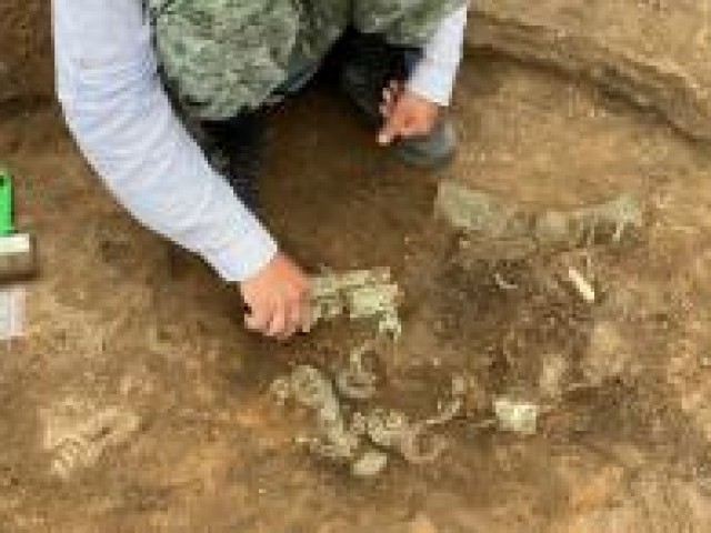 На Урале найден крупнейший жертвенный комплекс На Урале найден крупнейший жертвенный комплекс