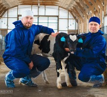 Первый из пробирки Первый из пробирки