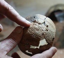 Находки в 5000-летних могилах меняют взгляд на Ямал Находки в 5000-летних могилах меняют взгляд на Ямал