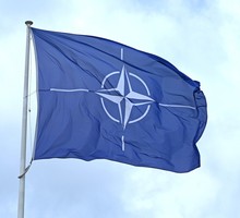 НАТО подготовило чудовищную провокацию перед саммитом в Анкаре НАТО подготовило чудовищную провокацию перед саммитом в Анкаре